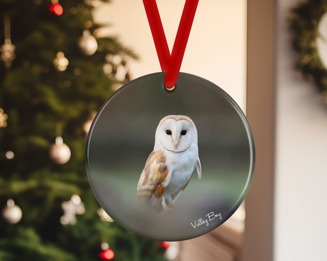 "Barn Owl" Ceramic Christmas Decoration     