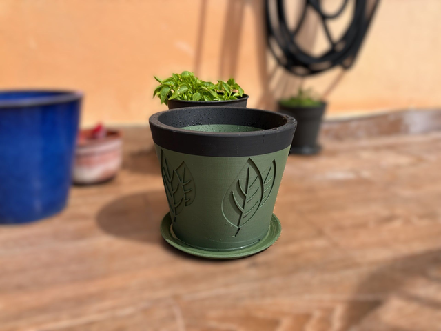 Basil Plantpot