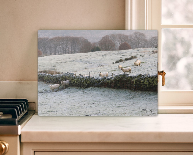 "The Great Escape" Glass Worktop Saver  