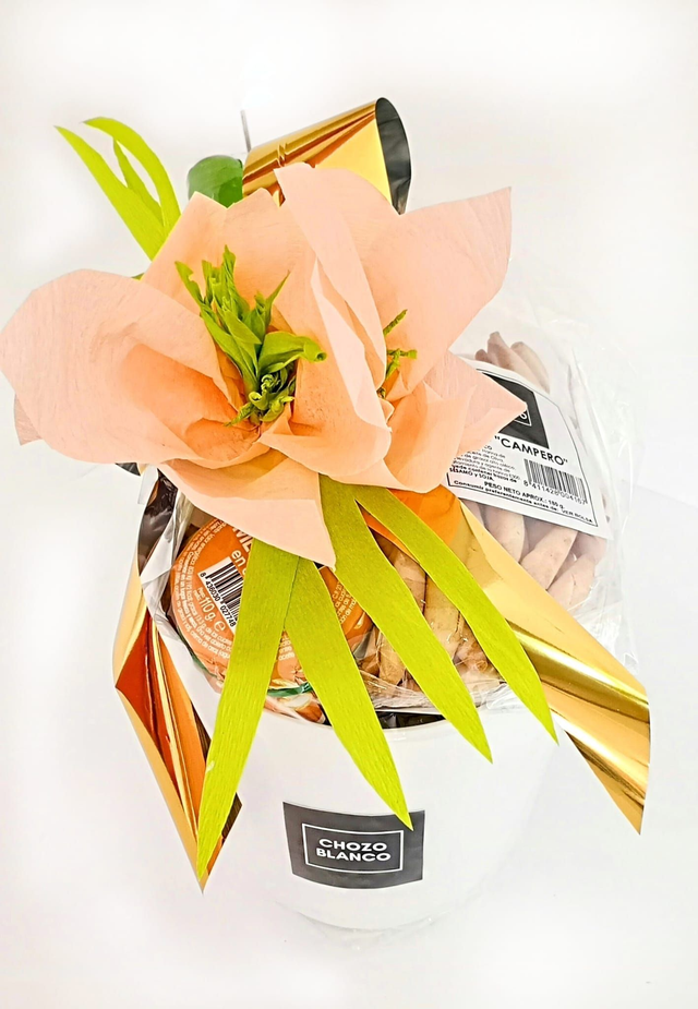 CESTA ARMONÍA MELOCOTÓN