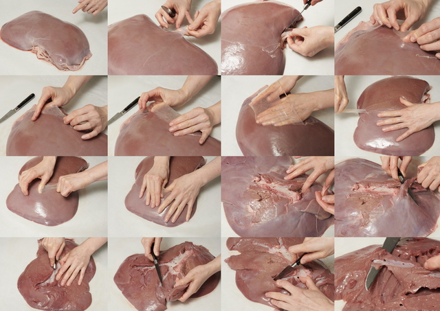 Offcuts, Liver (2nd Edition) - Sophie Hambling & Madeleine Sanders