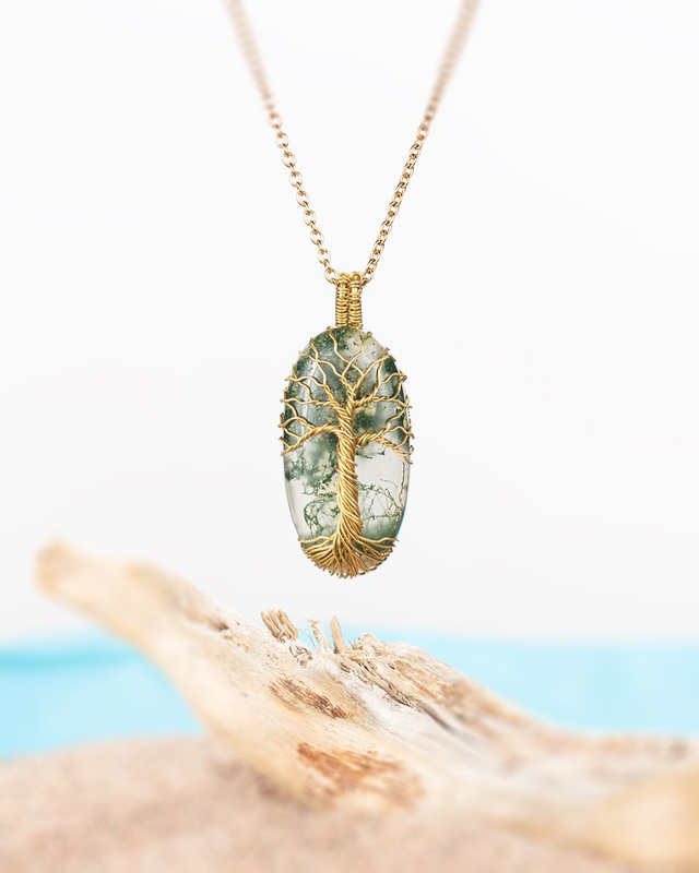 Sammalakaatti ja haapa