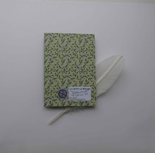 La merveilleuse tournée du père noël