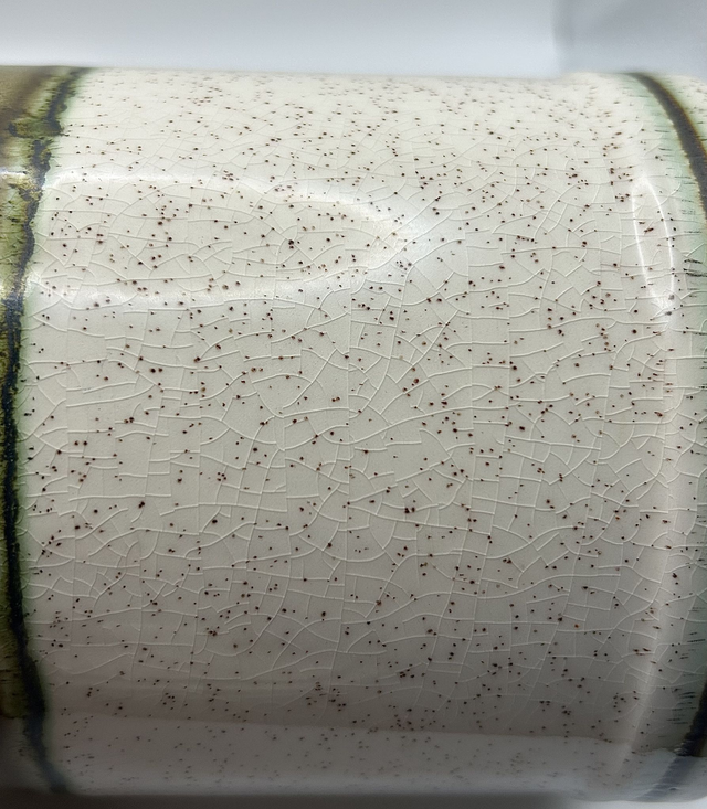 Palissy Royal Worcester Stoneware Trio with Earthy Green Banding (Vintage)