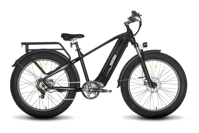 HAOQI Black Eagle 26 Zoll Elektro Fatbike