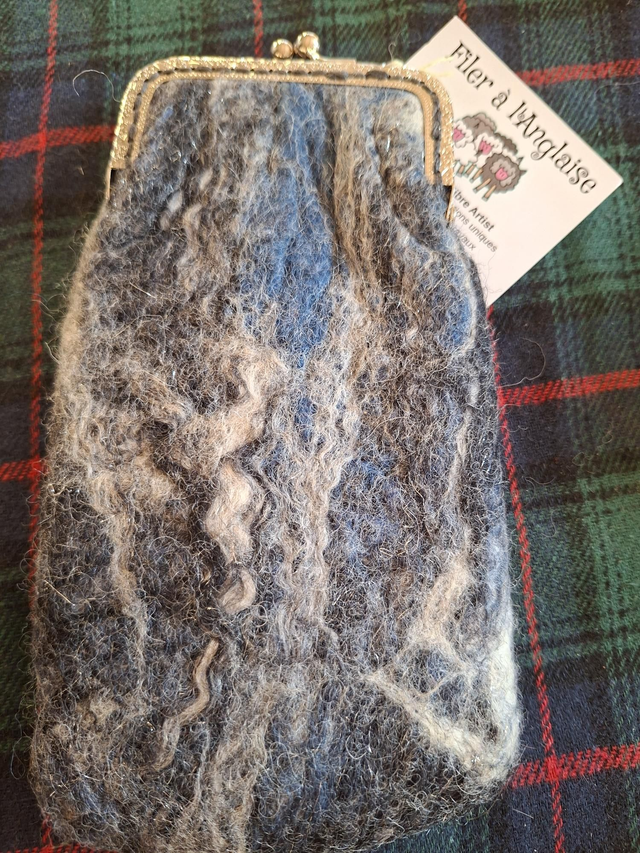 Etui a lunettes. FELT0526