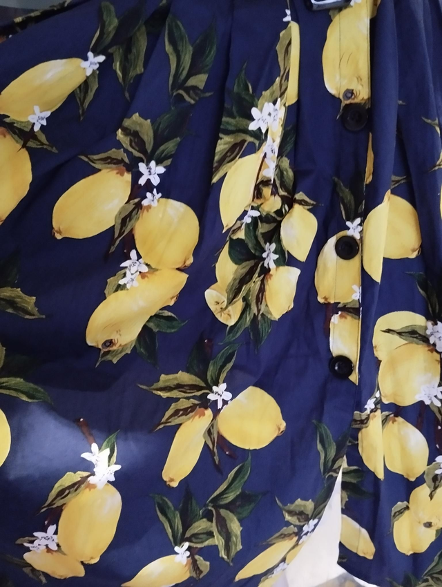 Robe Zaful Blue Lemon T48/50