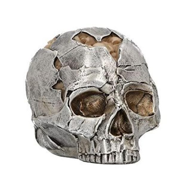 Fracture Skull Small 11cm