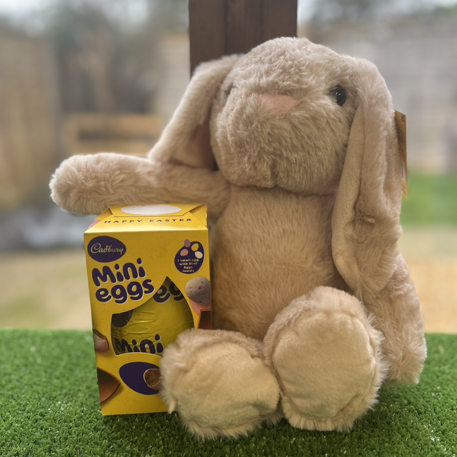 Bunny Teddy with embroidered ear 