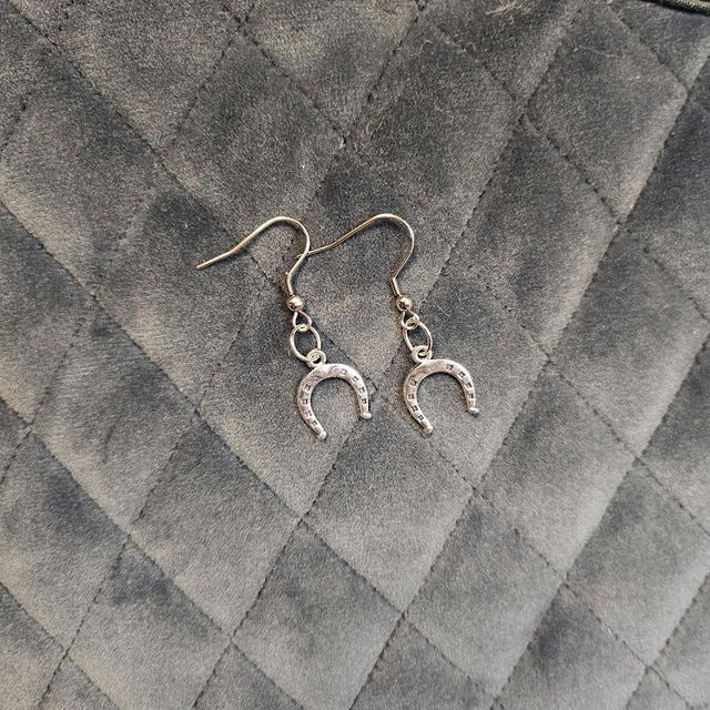 Hevosenkenkä korvakorut - Horseshoe earrings