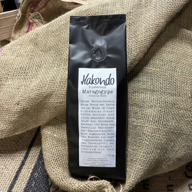 Guatemala Maragogype