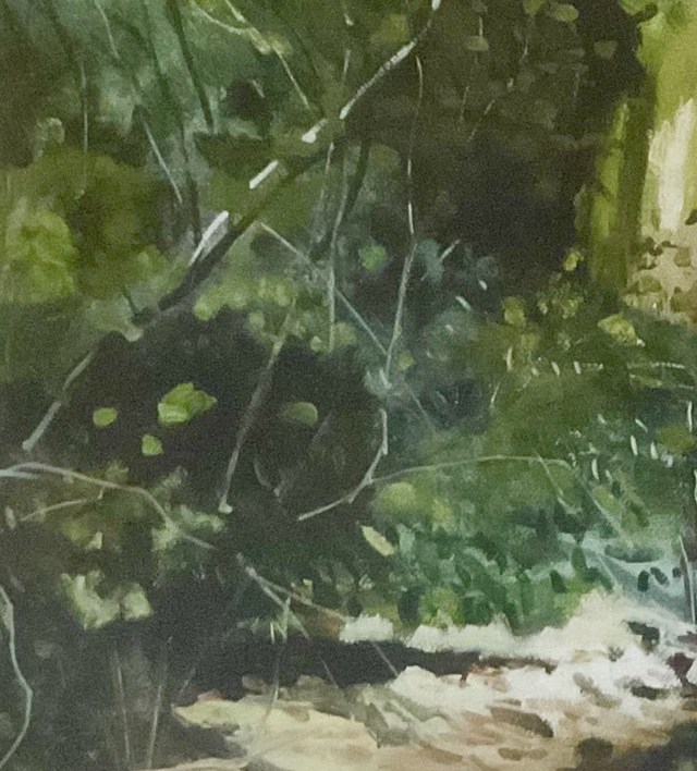 Burton Bushes woodland, Beverley. Framed A3 print from my Burton Bushes exhibition.