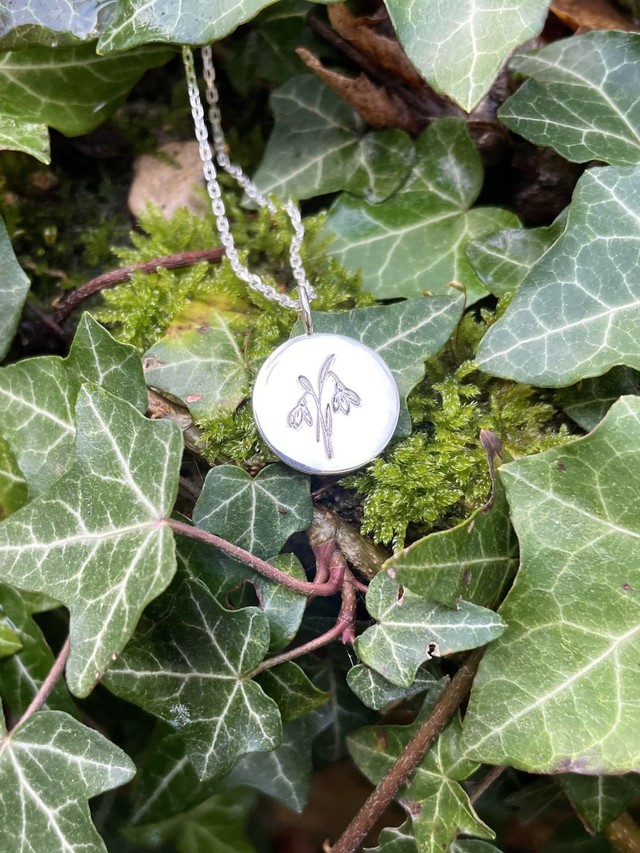 🪻 Janvier - Perce-neige