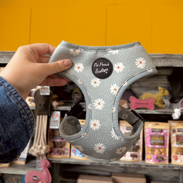 Pet Pooch Boutique Pastel Green Daisies Floral Dog Harness - Small