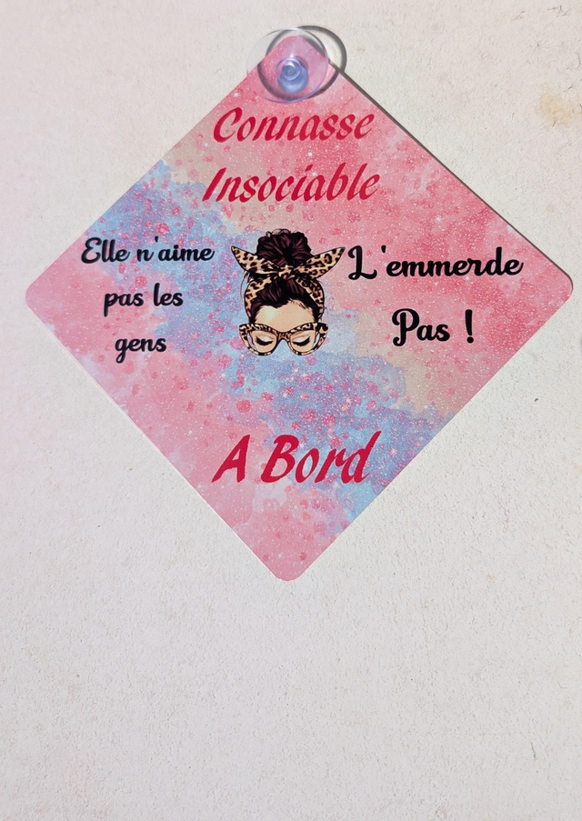 Plaque connasse insociable a bord 