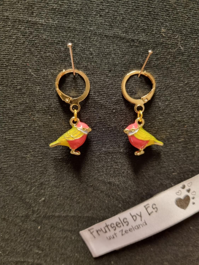 Oorbellen vogeltje emaille