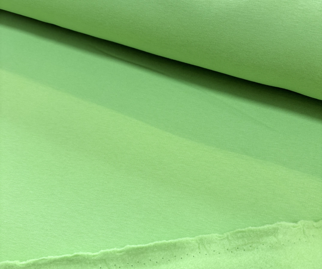 Pale Green Heavy Sweatshirt