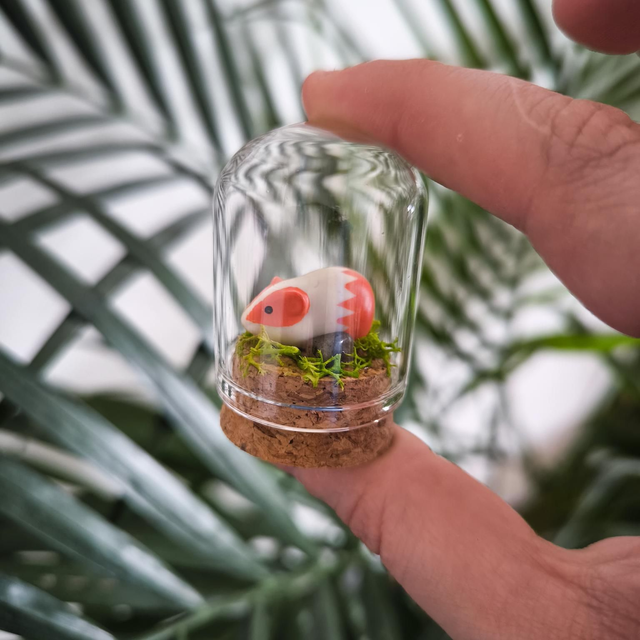 Toup&#039;tit protecteur - Cochon d&#039;Inde bicolore 