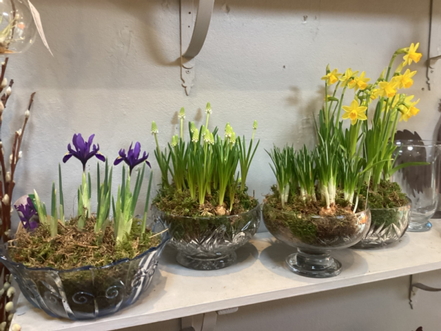 Jolly Vintage Spring Planters