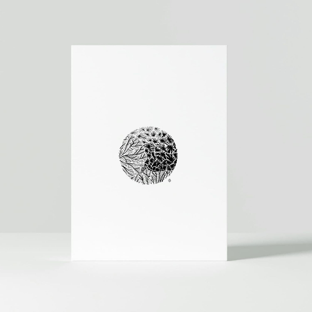 "Mucus" Carte postale - 2022