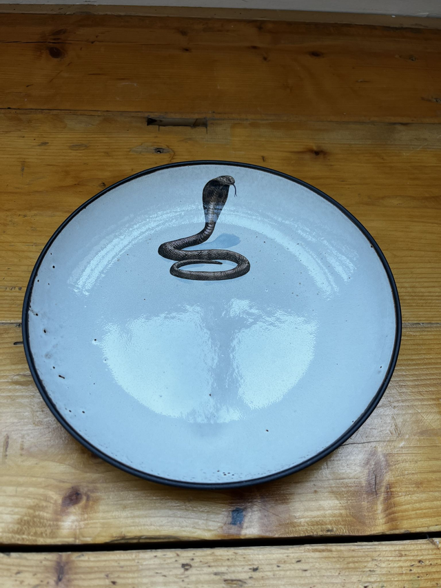 Pastateller 27cm Königskobra (MSM)