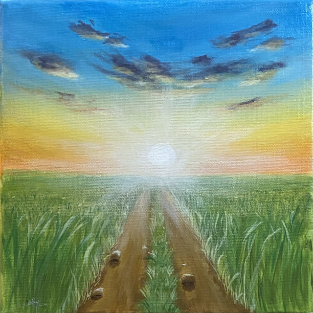 Commande personalisée - Souffle Solaire