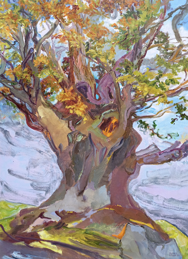 SE16 Weathering The Storms - The Eardisley Oak by Susan Edwards, 87x44cm Oil on Linen