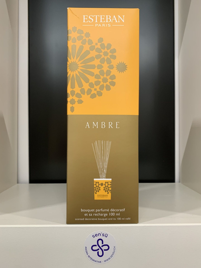 ESTEB BOUQUET PARFUME DECO AMBRE+RECH 100ML