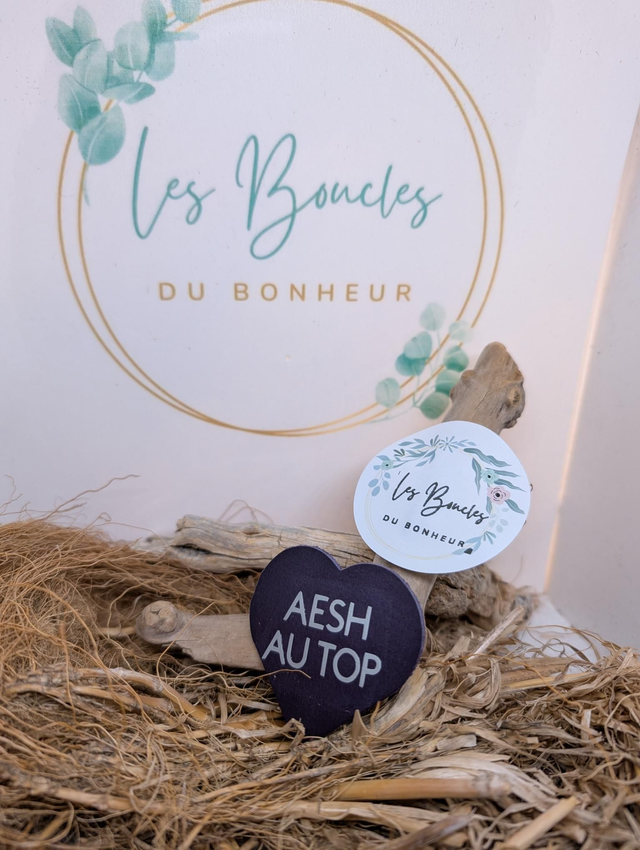 Broche personnalisée AESH au top violet br071