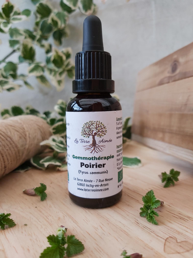 Poirier (bourgeons) 30ml