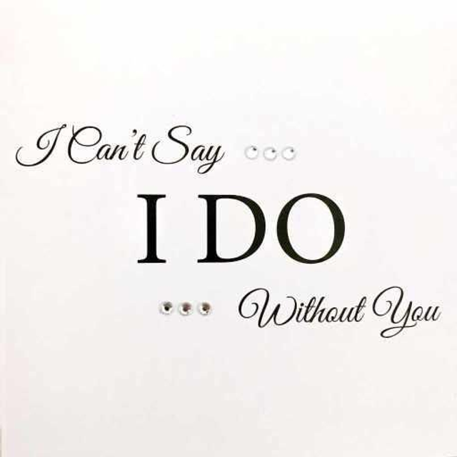 Cant Say I Do Without You