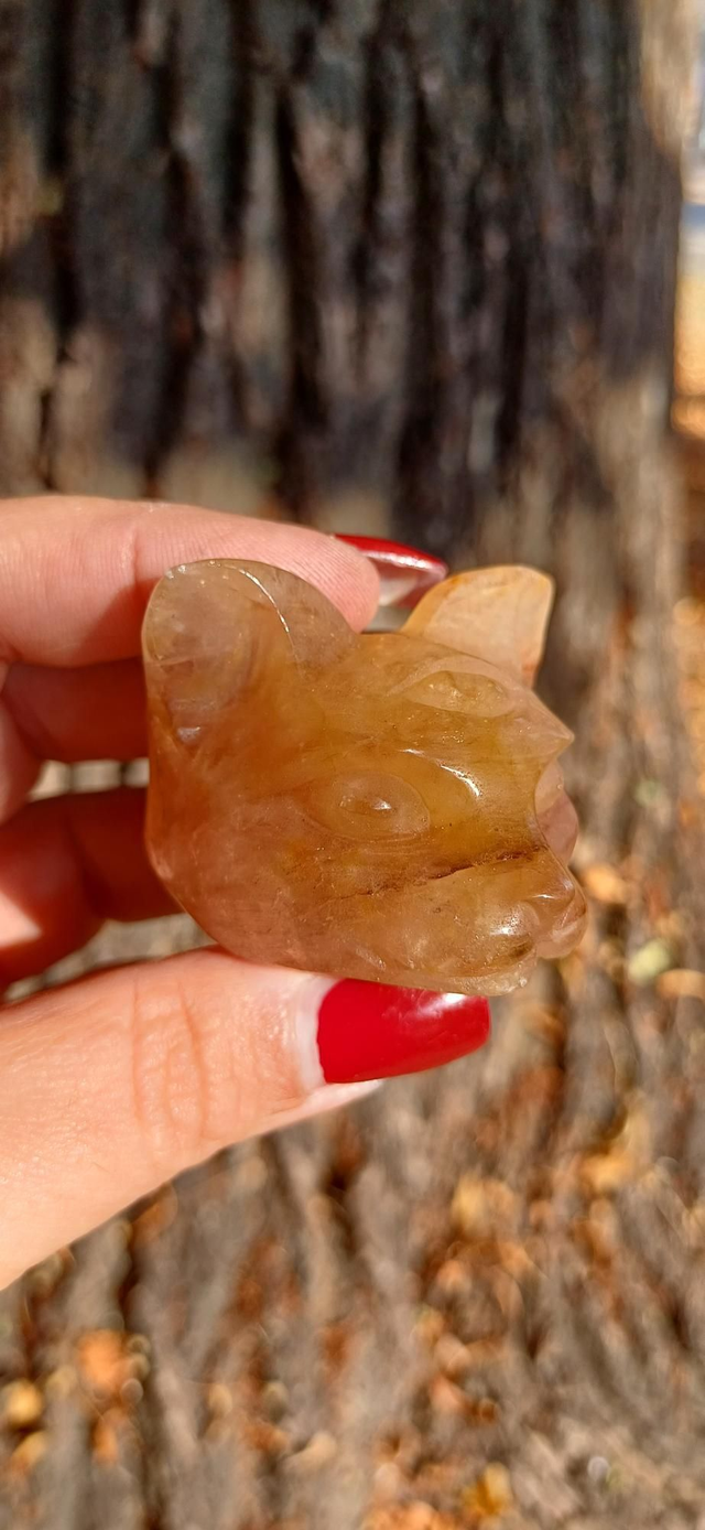 Fire Quartz with Golden Healer cat Head #2