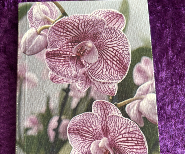 Lined Note Pad Orchid Pink/White