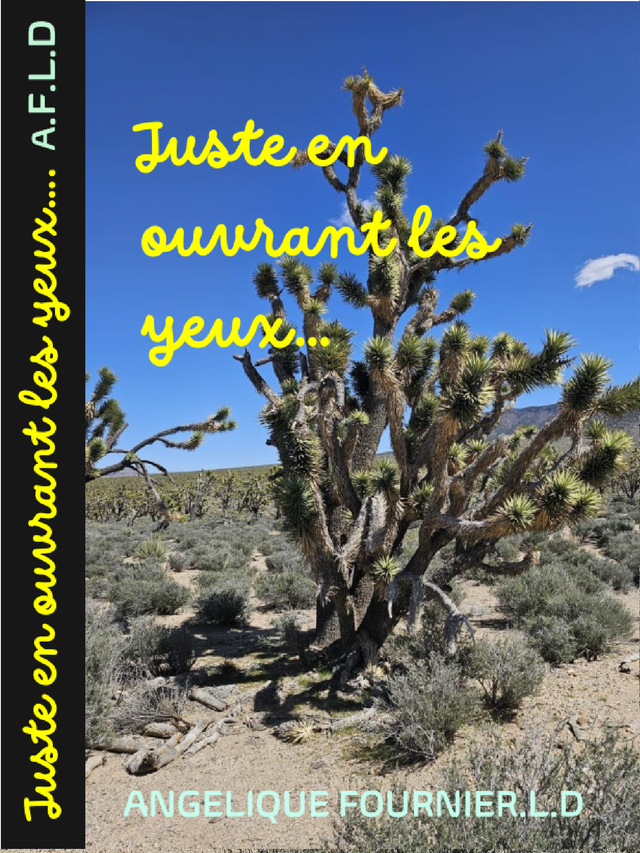 Juste en ouvrant les Yeux...