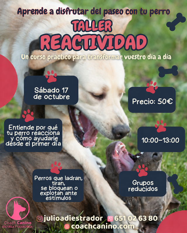 Taller Reactividad