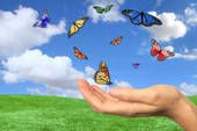 Sophro Maternité //Fin de vie