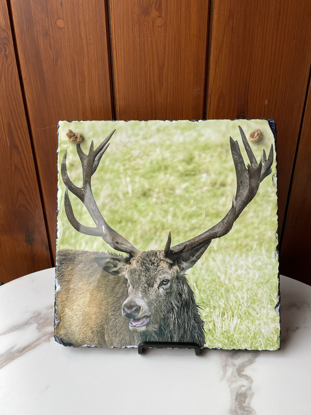 SALE! Photographic Slate