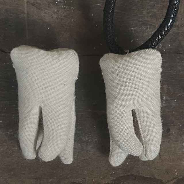 Tooth Amulet or Pin Brooch