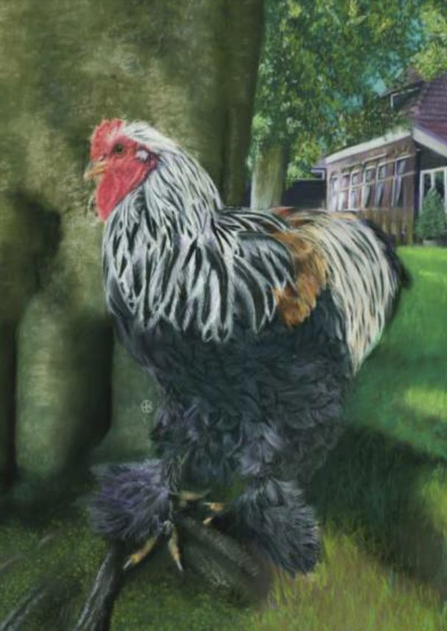 Greeting Card  'AT THE FARM'  (Konijnenparadijs)