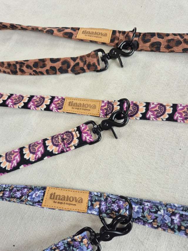 Laisse multi-position