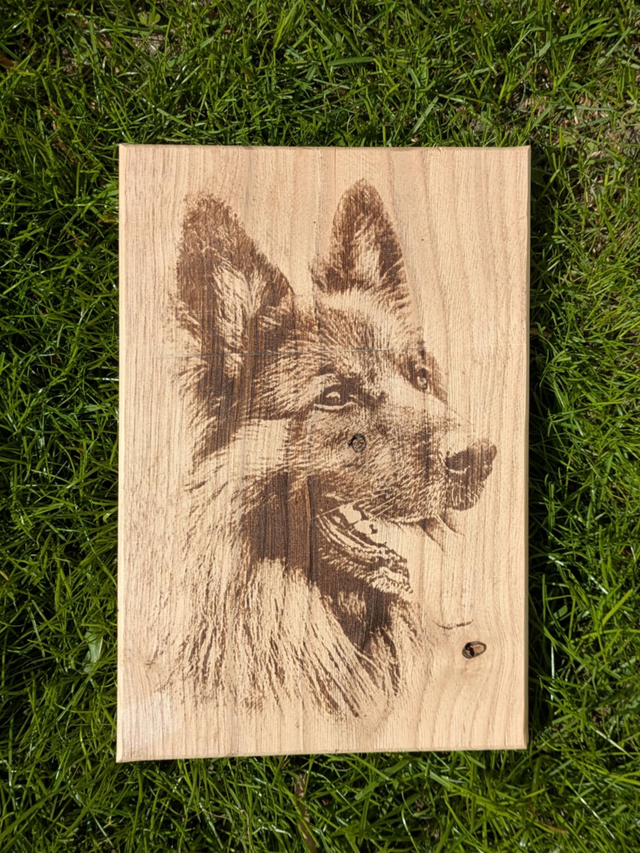 Portrait chien