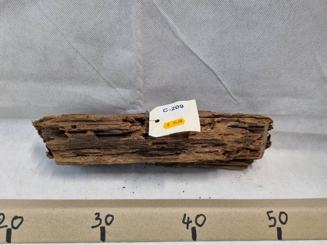 Racine Mangrove C-129