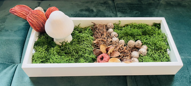 Déco plateau champignon 