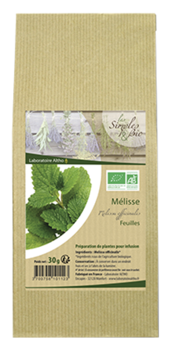 Plante Mélisse 