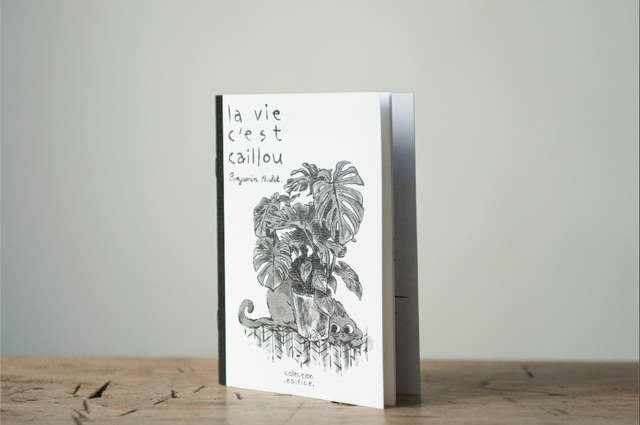 Collection Edifice, Cache-cache