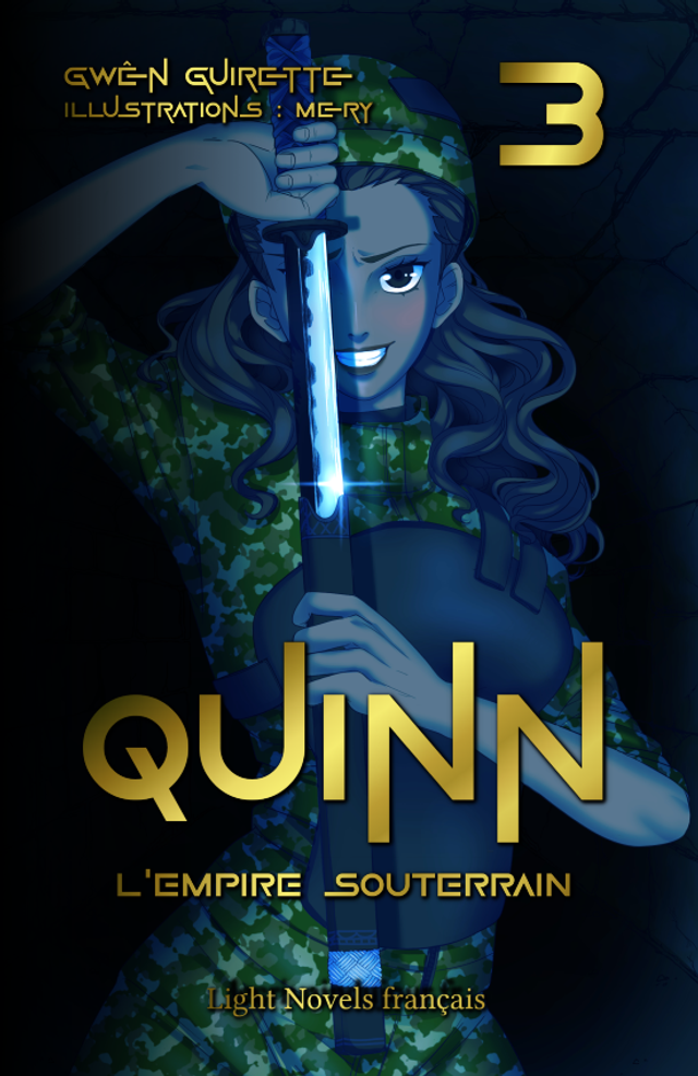 Quinn - Livre 3