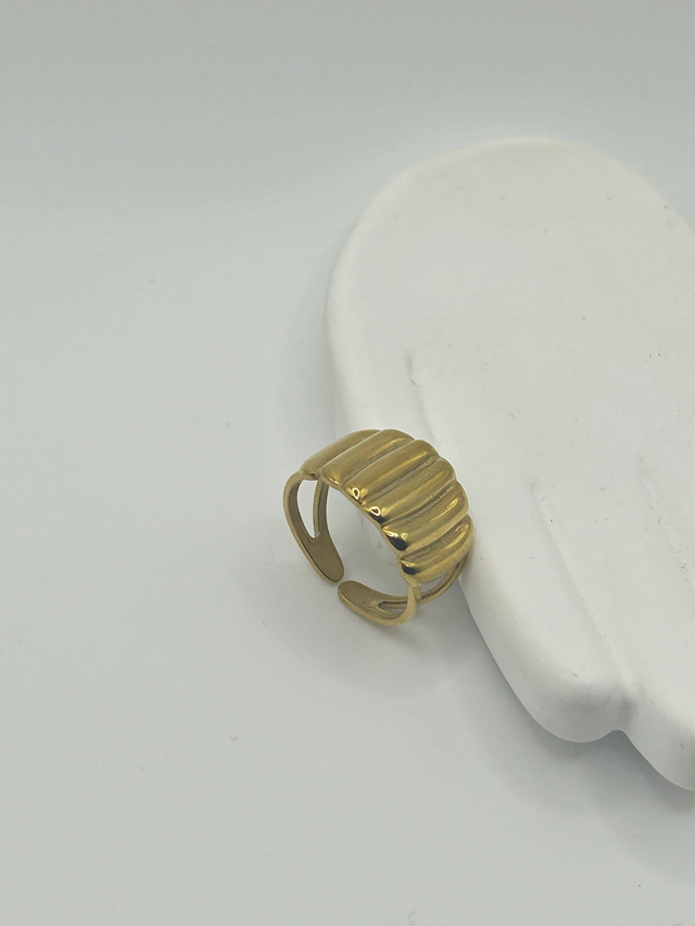 Stainless Steel Ring (SSR113J)