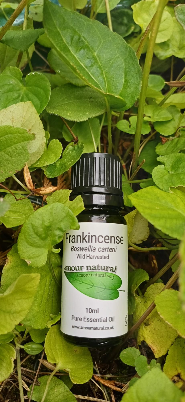 Frankincense Essential Oil 