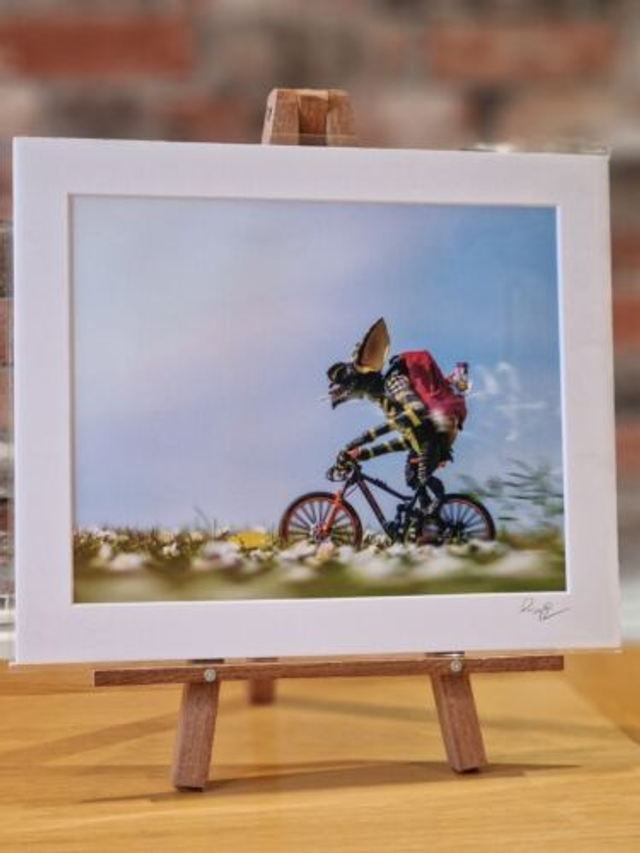 Gremlins mountain Bike