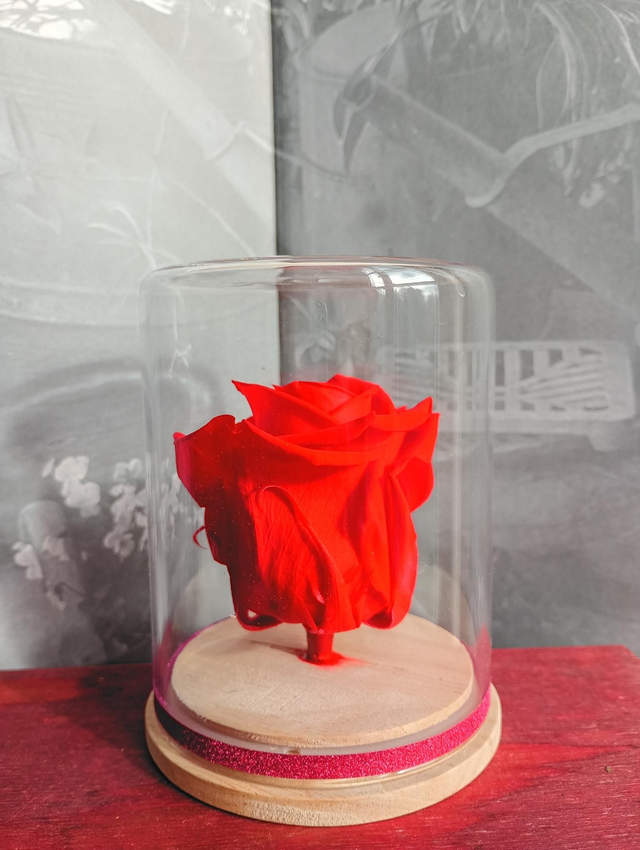 S05 unique rose rouge